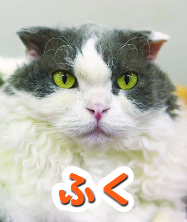 huku
