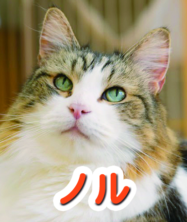 noru